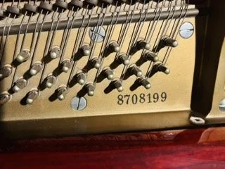 IMG_6538 Small.jpeg