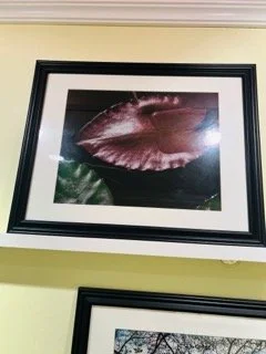 Hawley Heights  - 181 Small.jpeg