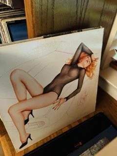 Vinyl 556 Small.jpeg