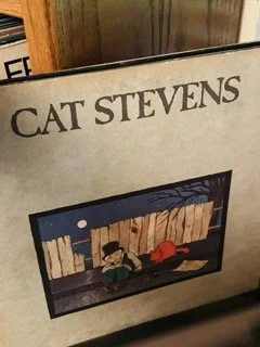 Vinyl 60 Small.jpeg