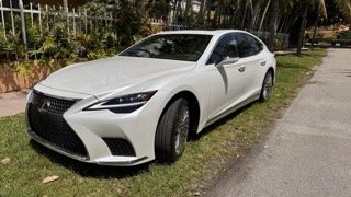 IMG_0439 Small.jpeg