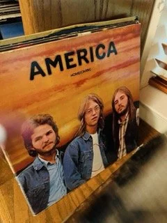 Vinyl 630 Small.jpeg