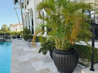 Old-Cutler-Bay-Estate-Sale- - 326 Small.jpeg