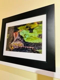 Hawley Heights  - 177 Small.jpeg