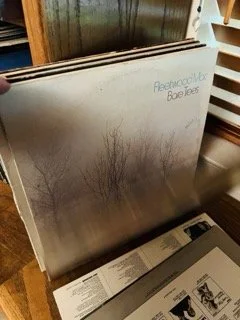 Vinyl 489 Small.jpeg