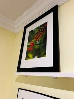 Hawley Heights  - 193 Small.jpeg