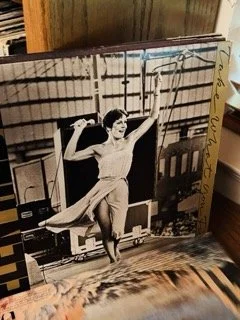 Vinyl 210 Small.jpeg