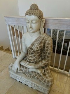 IMG_5012 Small.jpeg