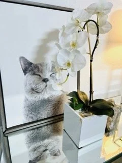 All About the Wow - 105 Small.jpeg