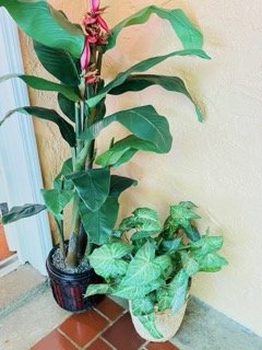 Coral-Gables-Estate-Sale- - 30 Small.jpeg