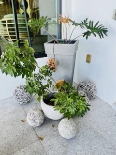 Key Biscayne-Oceanfront-Estate-Sale - 250 Small.jpeg