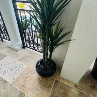 Old-Cutler-Bay-Estate-Sale- - 358 Small.jpeg