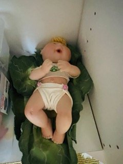 Glenvar-Heights-Estate-Sale - 230 Small.jpeg
