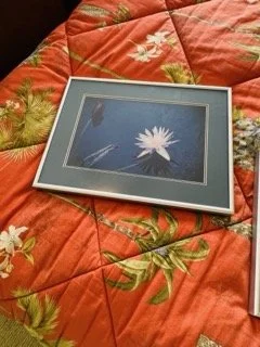 Glenvar-Heights-Estate-Sale - 206 Small.jpeg