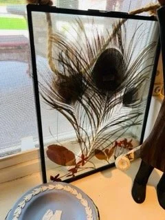 Hawley Heights  - 118 Small.jpeg