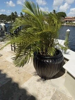 Old-Cutler-Bay-Estate-Sale- - 331 Small.jpeg