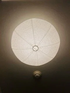 IMG_6774 Small.jpeg