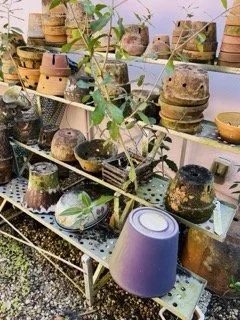 Hawley Heights  - 242 Small.jpeg