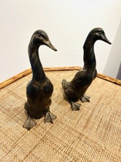 IMG_6381 Small.jpeg