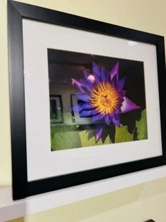 Hawley Heights  - 174 Small.jpeg