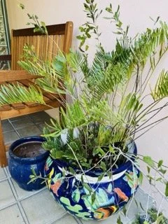 Hawley Heights  - 230 Small.jpeg