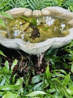 IMG_6821 Small.jpeg