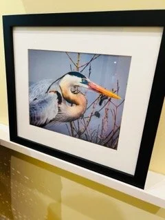 Hawley Heights  - 186 Small.jpeg