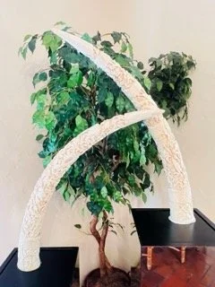 Coral-Gables-Estate-Sale- - 120 Small.jpeg