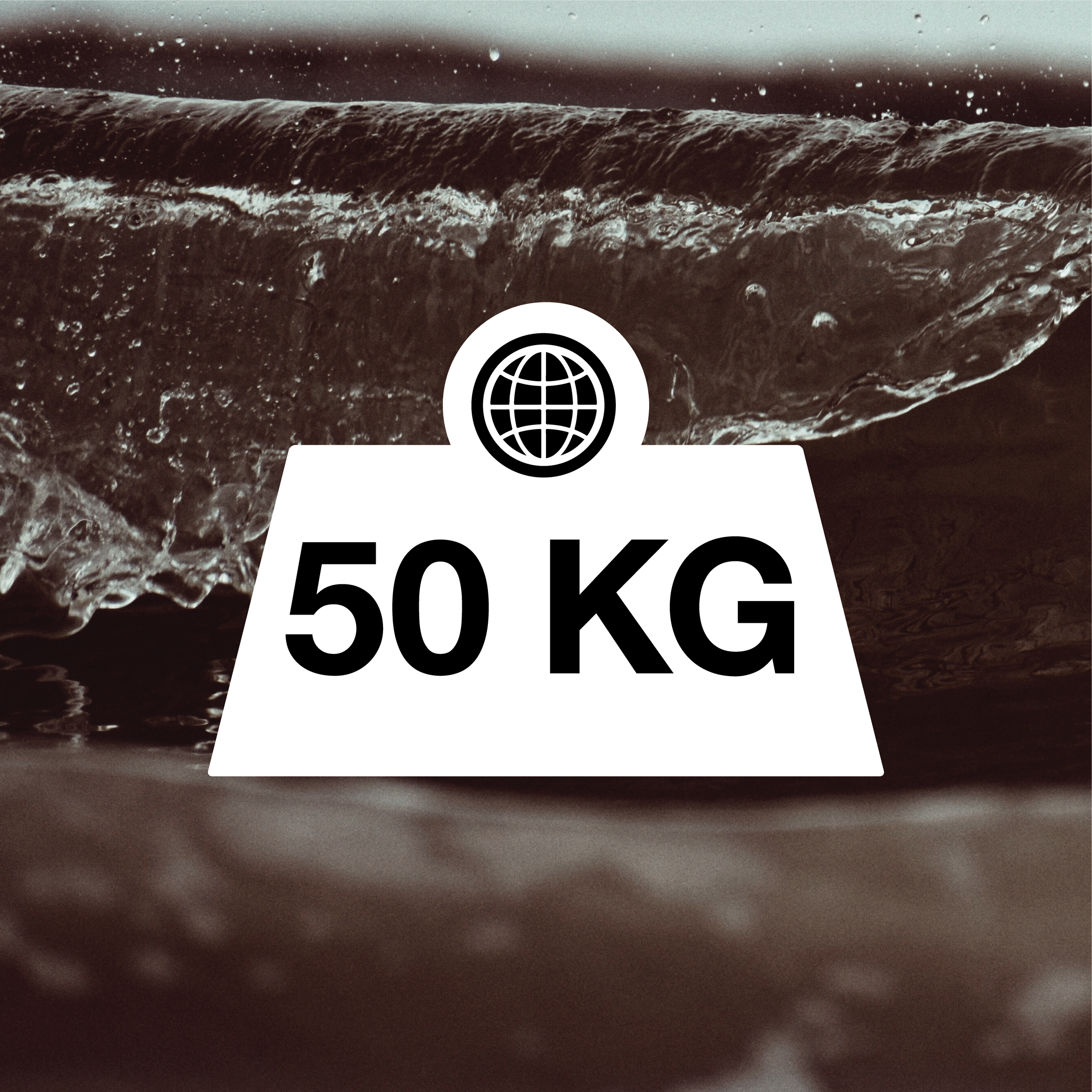 Fifty (50) Kilogram Carbon Offset Credit (Tax-Deductible Donation*)