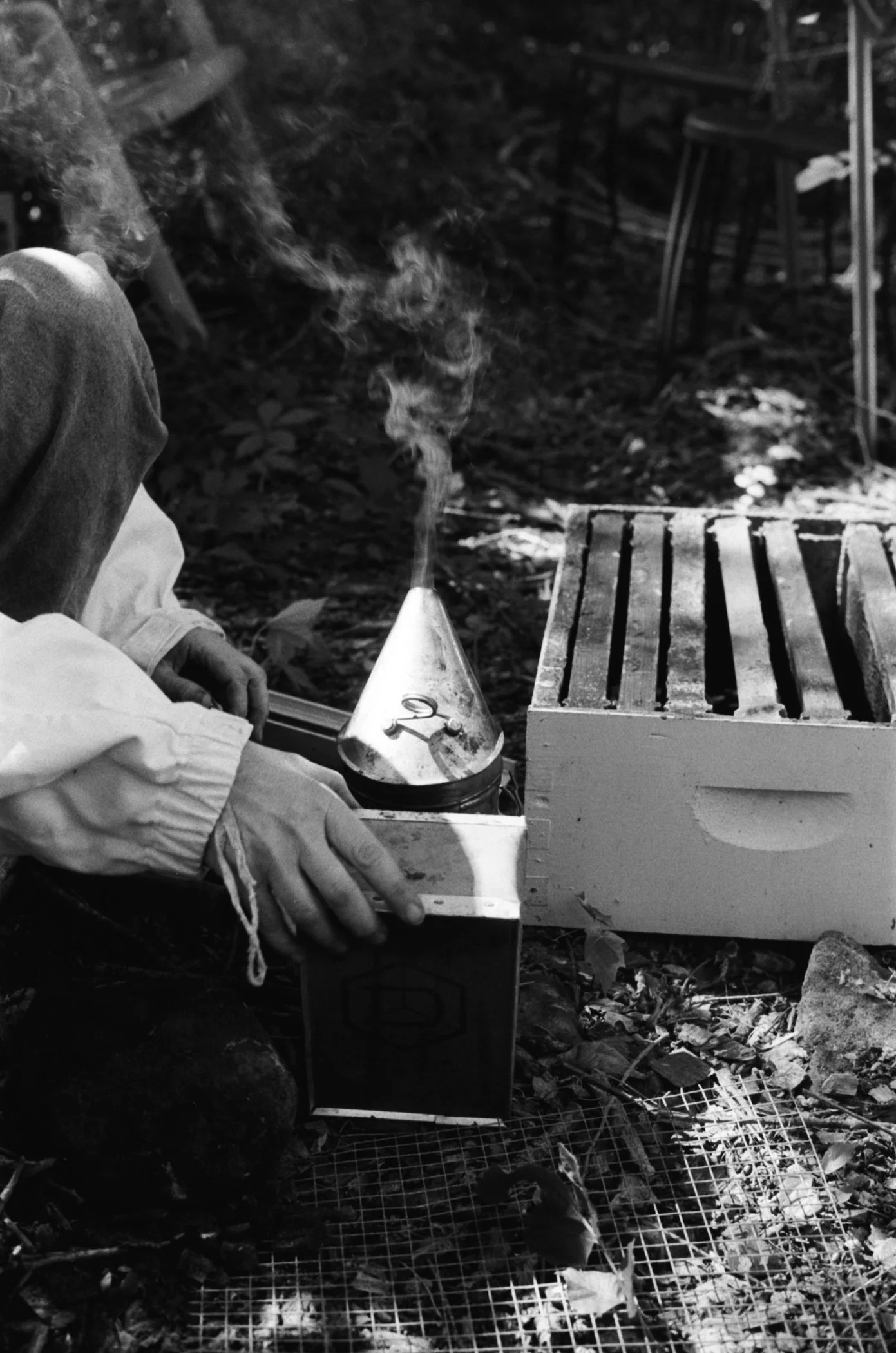 First Mooning — By Maxim Volk