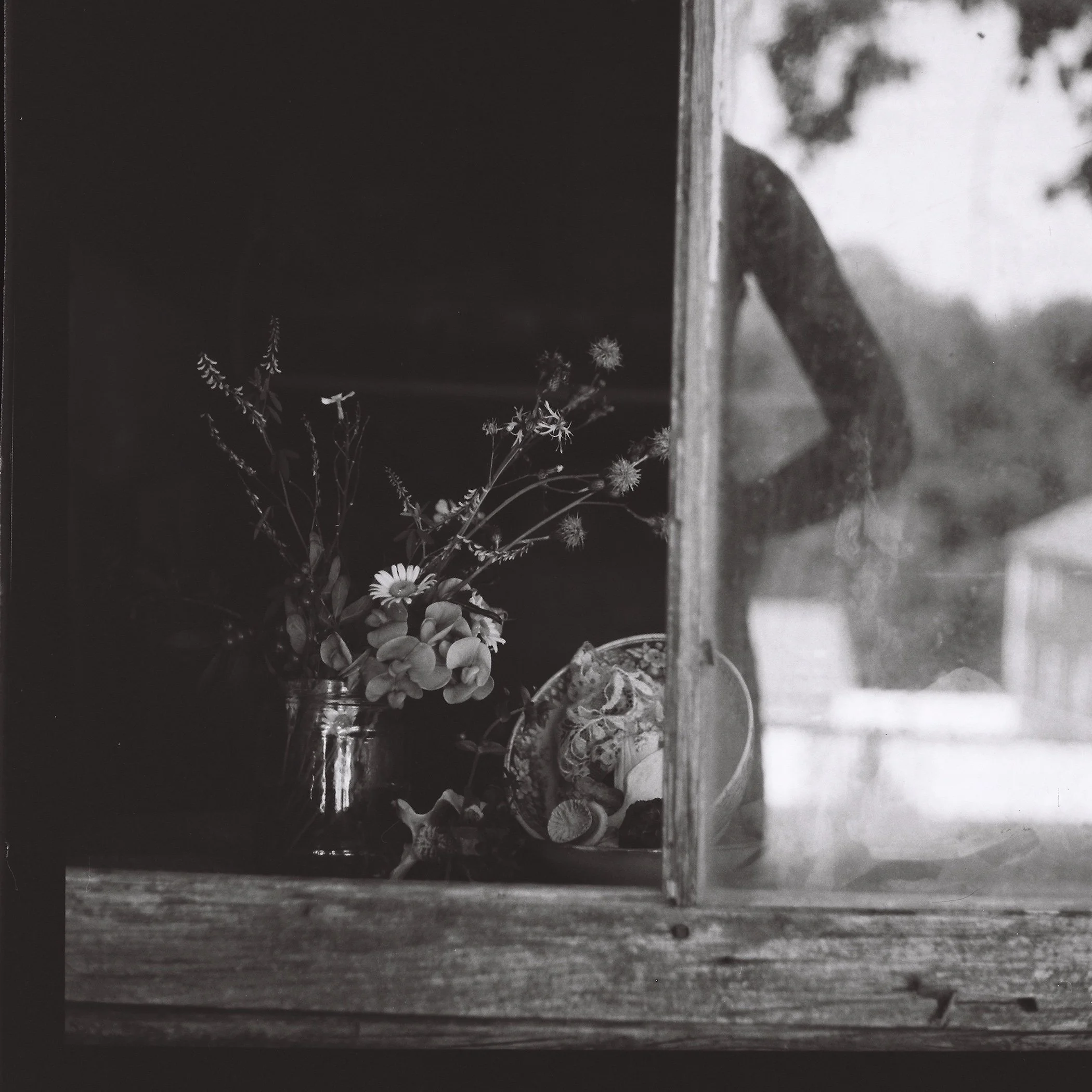 Two Rivers: A Diptych — By Rebecca Watkins