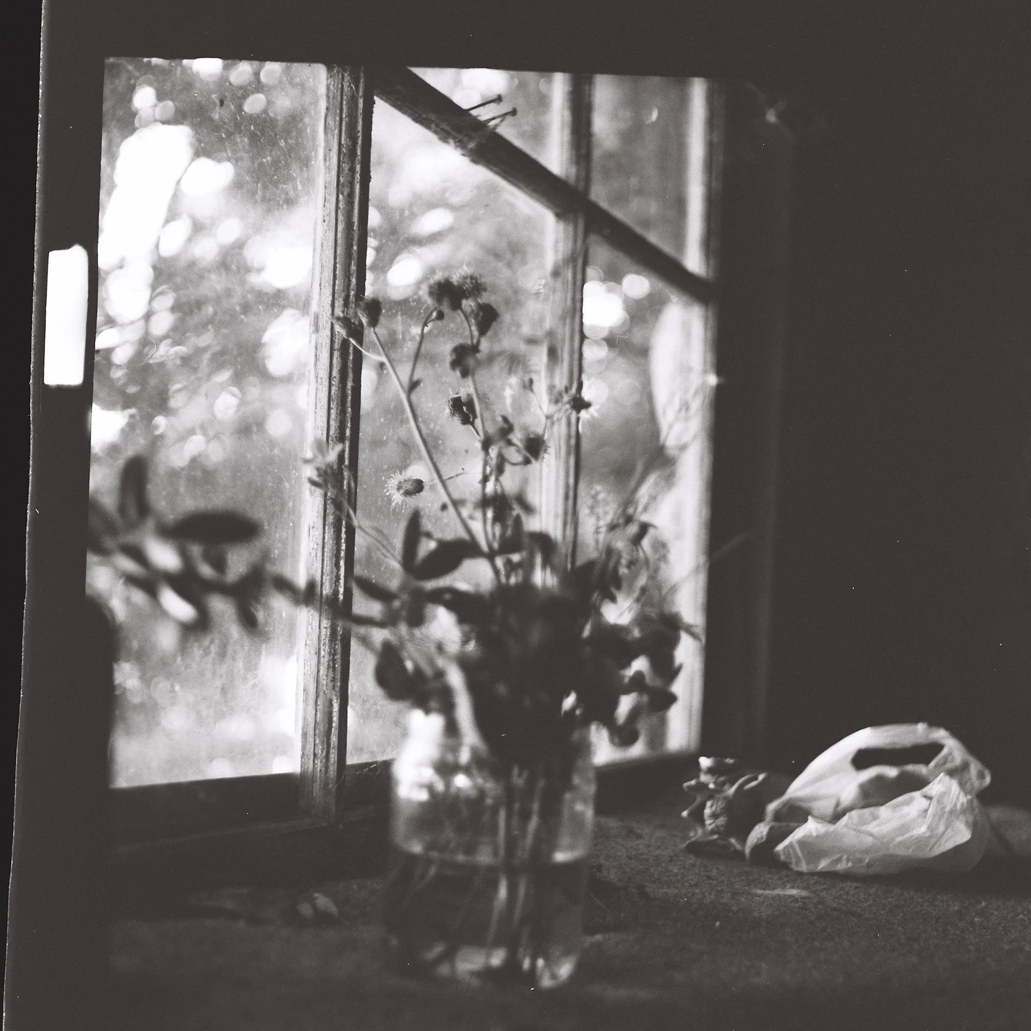 Limerence at the New York Metropolitan Museum of Art&nbsp; — By Alice Agro-Paulson