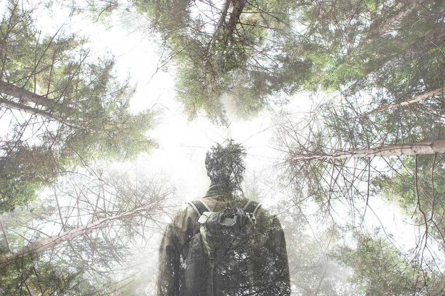 Not Separate: Embodiment in a Living World