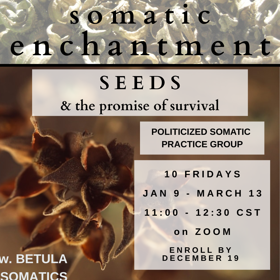 INSTA Somatic Enchantment seeds.png