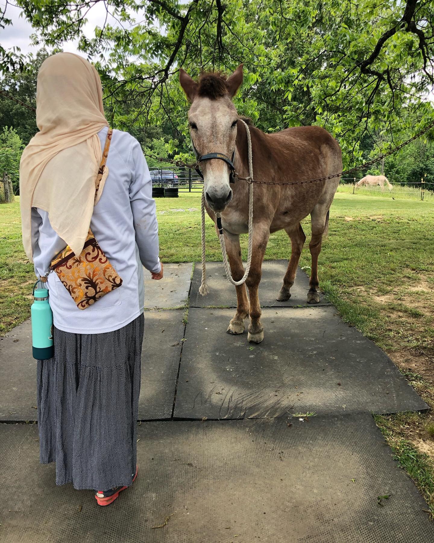 🐓Aolani &amp; Cori learned how to observe, identify, &amp; respond to illness &amp; injury at the Animal First Aid Workshop sponsored by the National Ladies Homestead Gathering in Rogersville, TN.

🌸The always fabulous @bigmommawahlnut shared her k