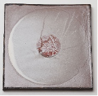 Pale Moon 6 by Nina Malterud (Ceramic Brussels 2026)