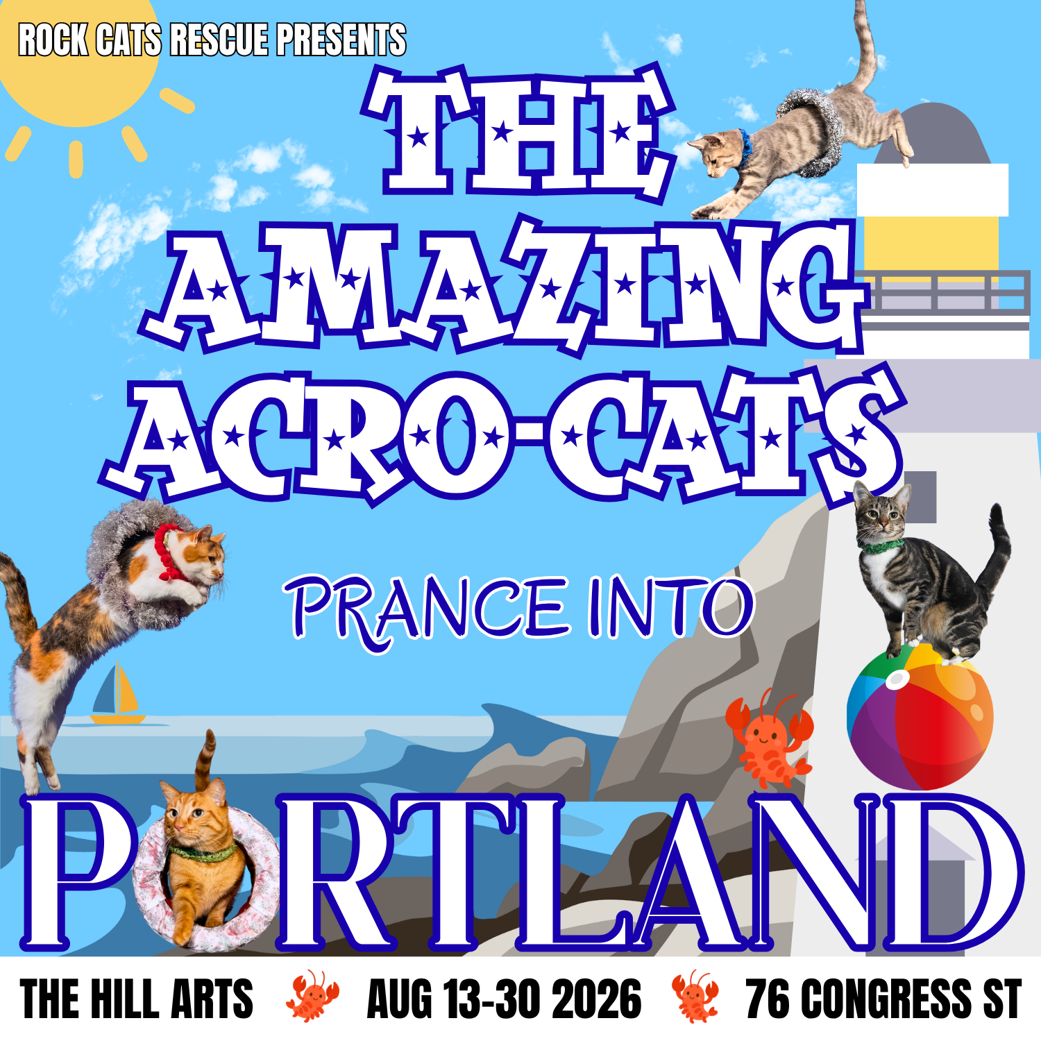 The Amazing Acro-Cats
