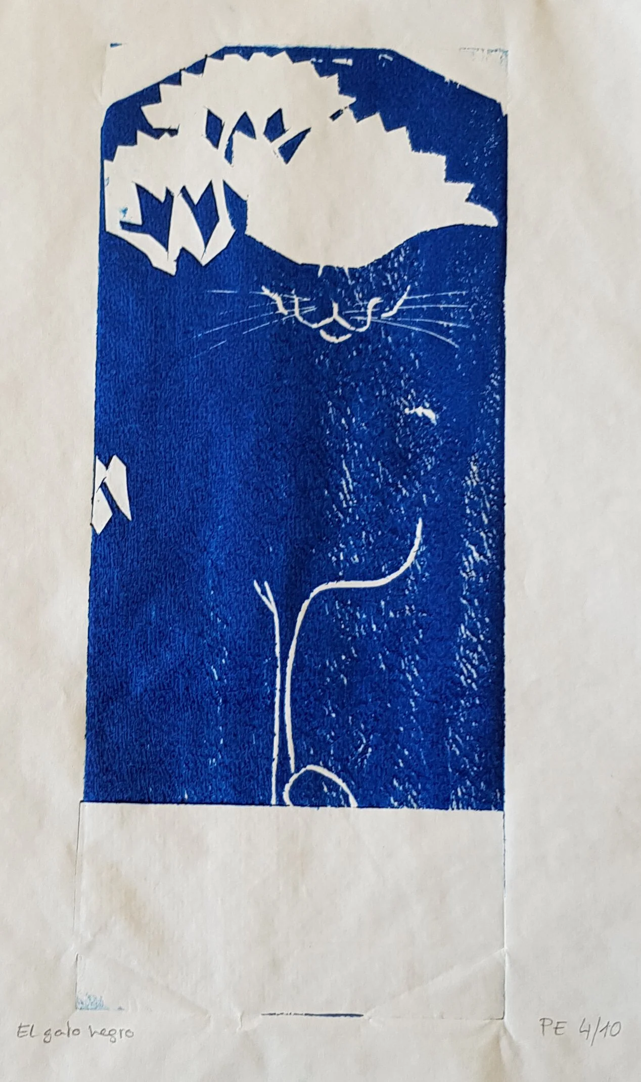 prueba plancha azul.jpeg