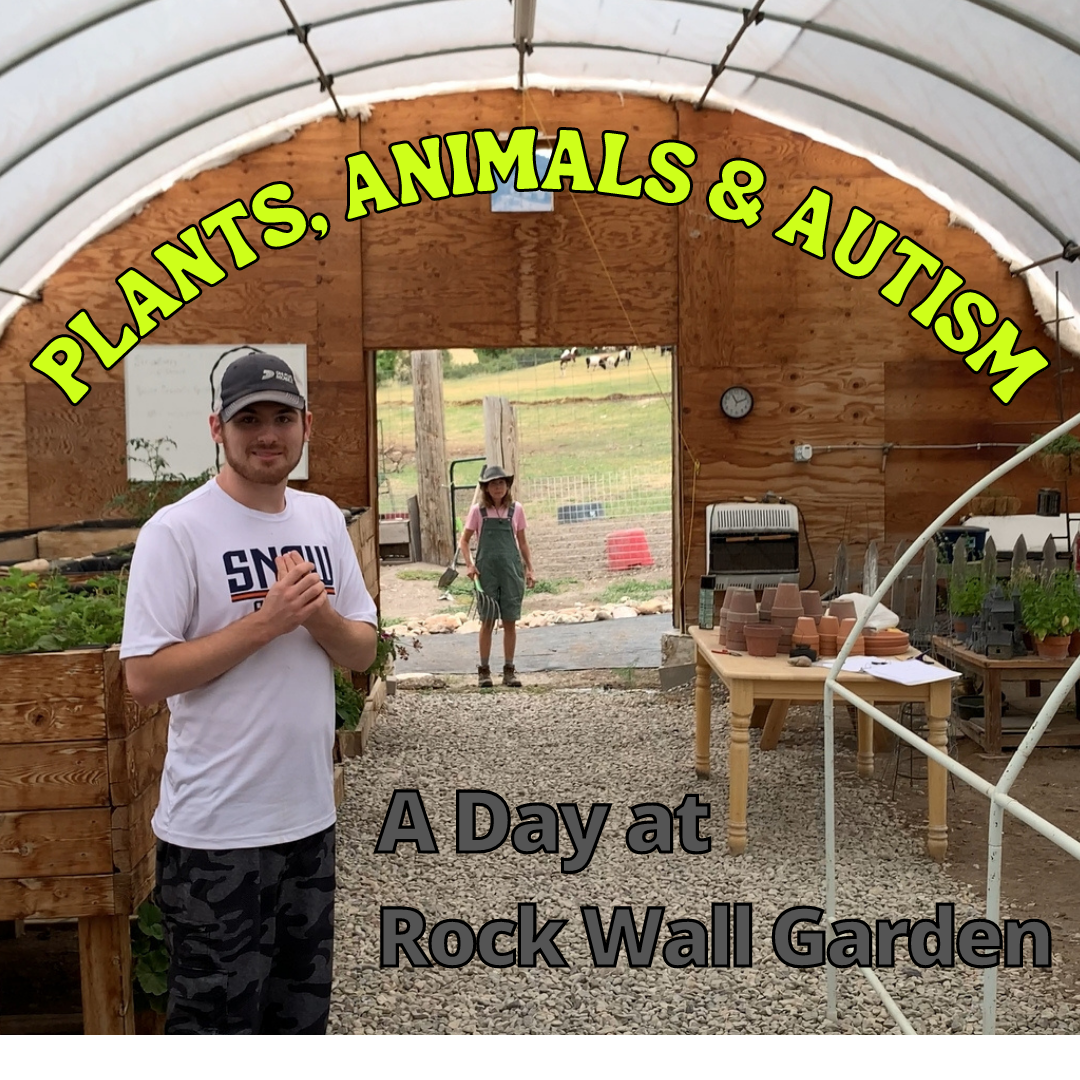 A Day at Rock Wall Garden