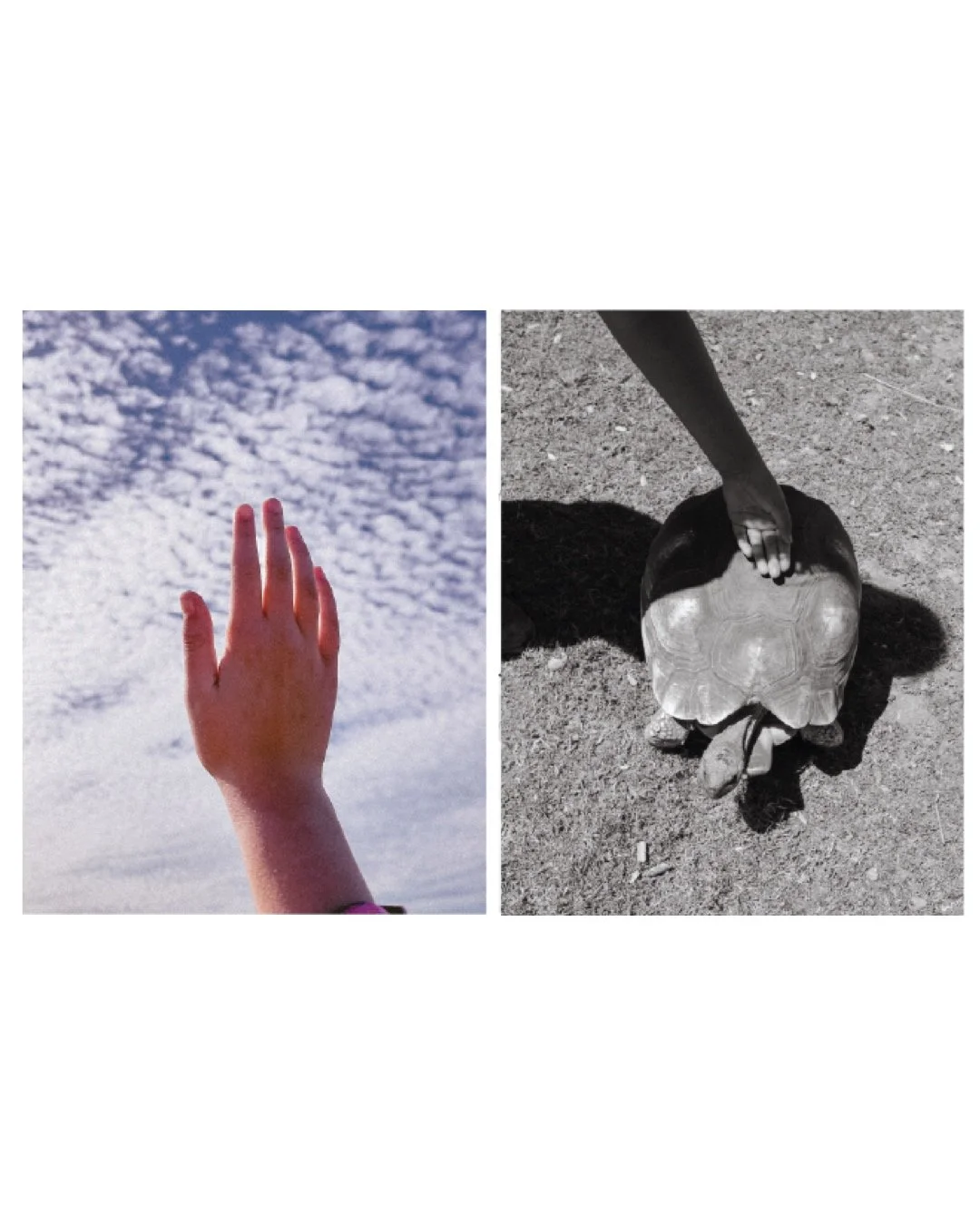 Get Collective! A photographers Resource for Collaboration