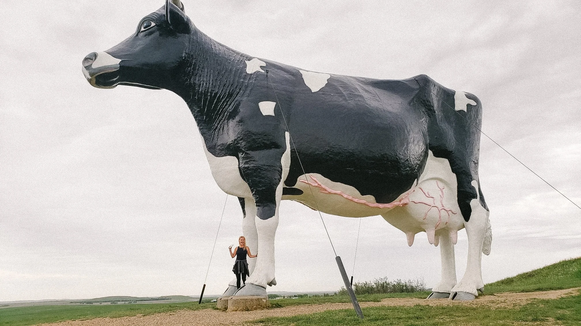3 Day Road trip to Glacier National Park; Day 2 Fargo, ND to Billings