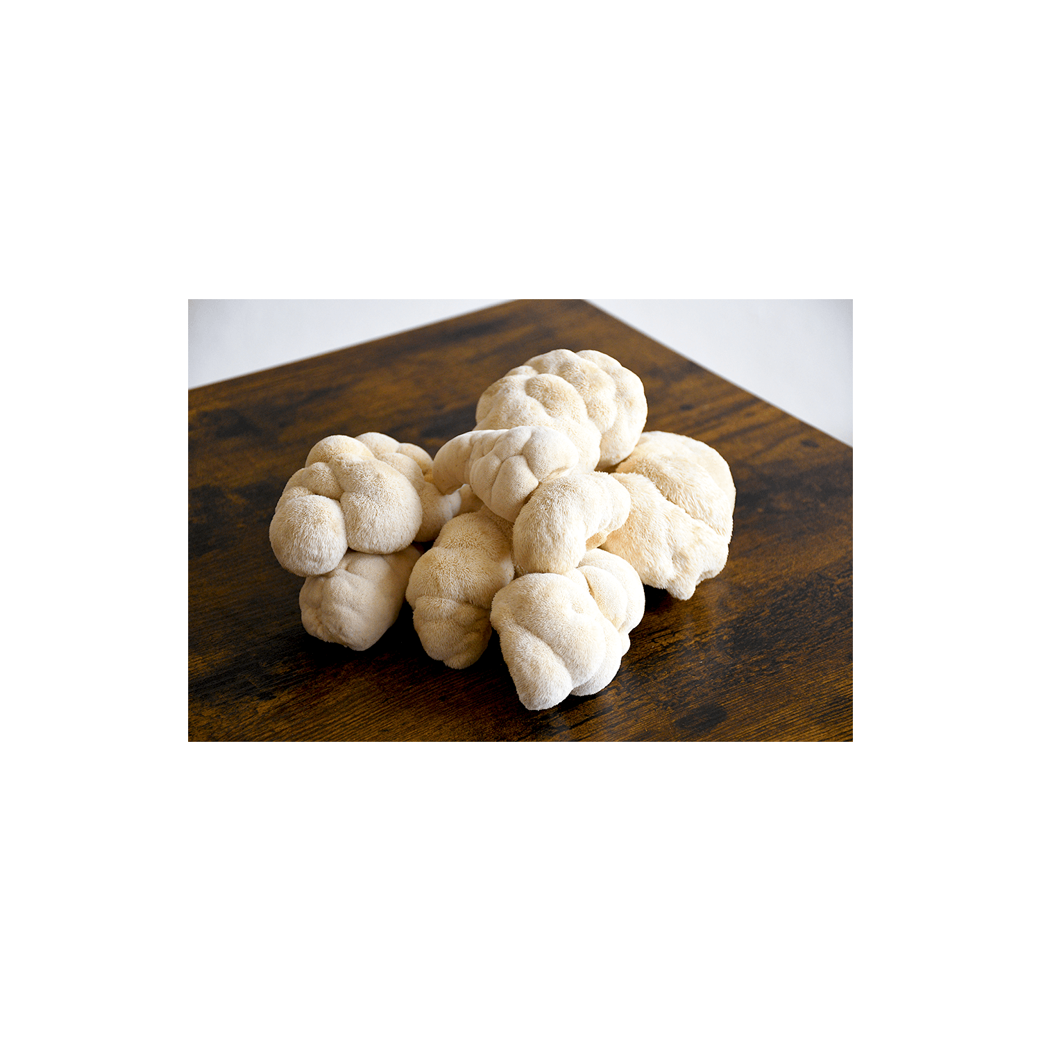 SS Size Fresh lion's mane shot 2 sept 14 2025.png