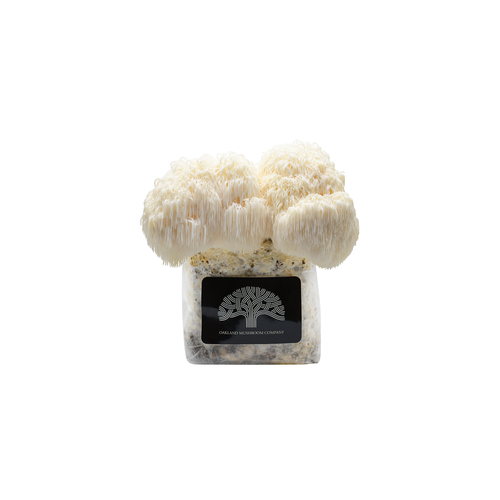 Official site product or package image from Oakland Mushroom Co..