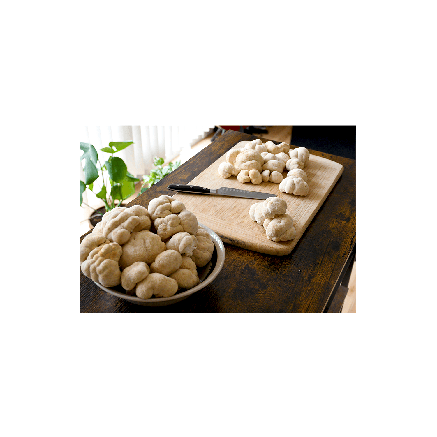 SS Size Fresh lion's mane table shot 1 at andrews sept 2025.png