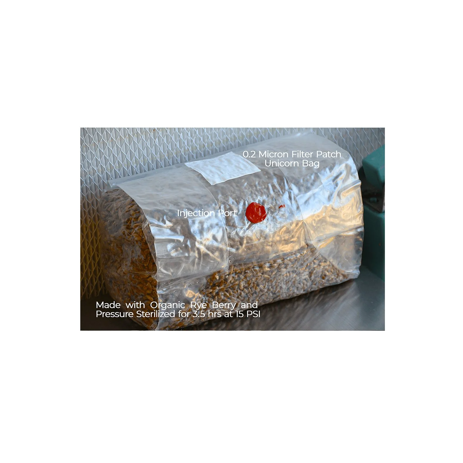 Organic Rye Berries Pressure Sterilized - 3 lbs