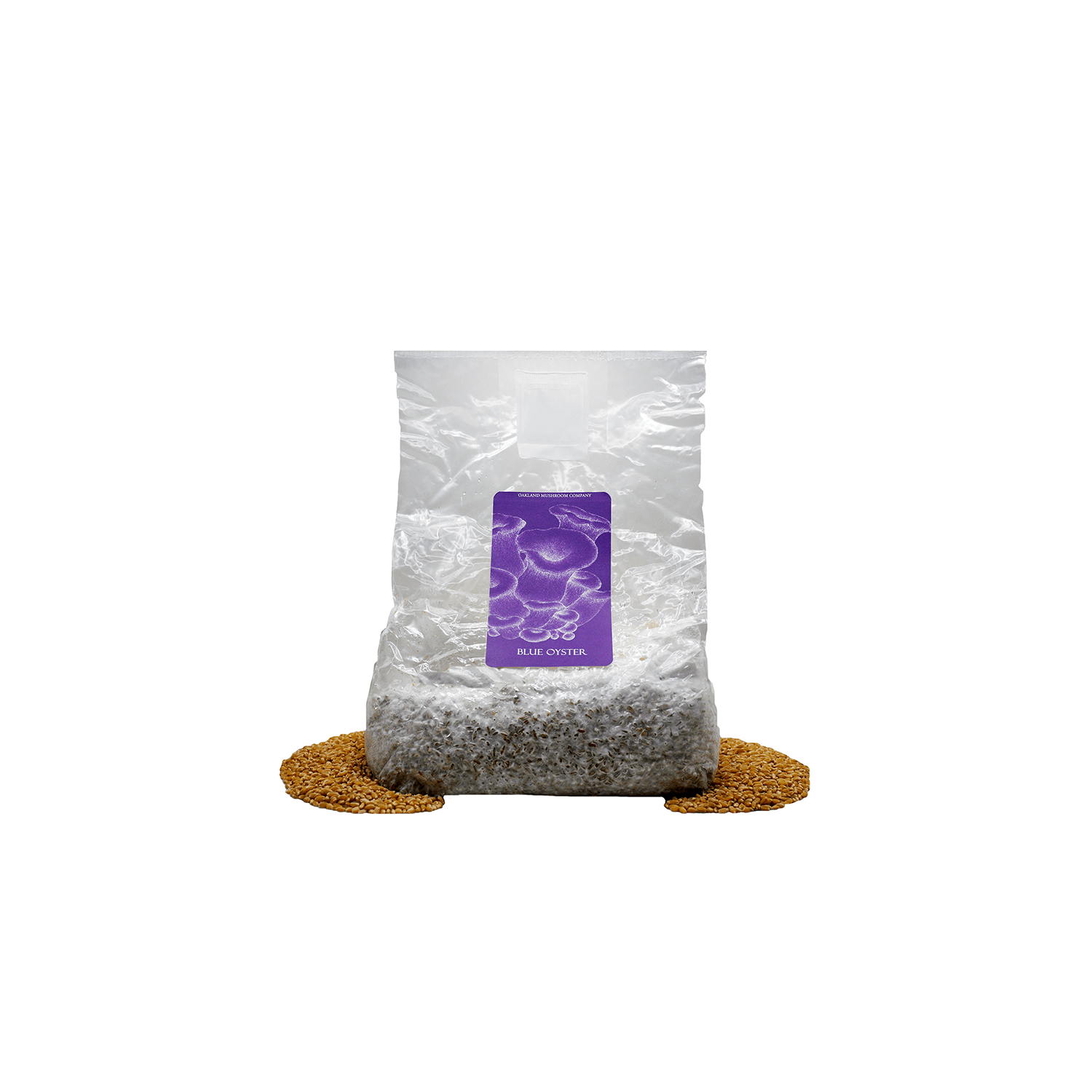 April 28, 2026 KBO 3lb Grain Ver 2 White BG Square Space Size.png