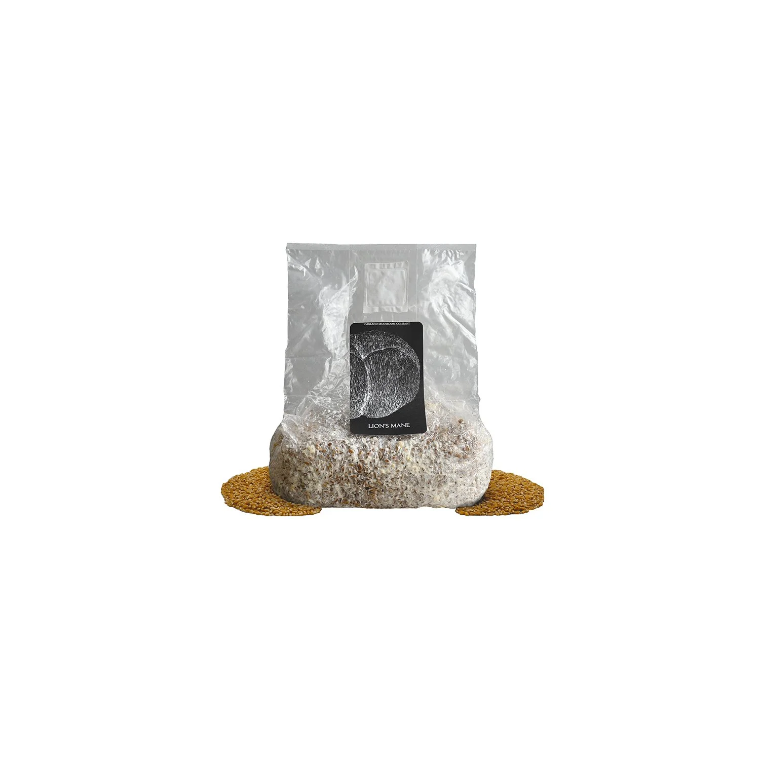 SQUARE SPACE Amazon LM Grain Spawn WITH grain White BG@ smaller template Aug 16, 2026 NEWER.jpg
