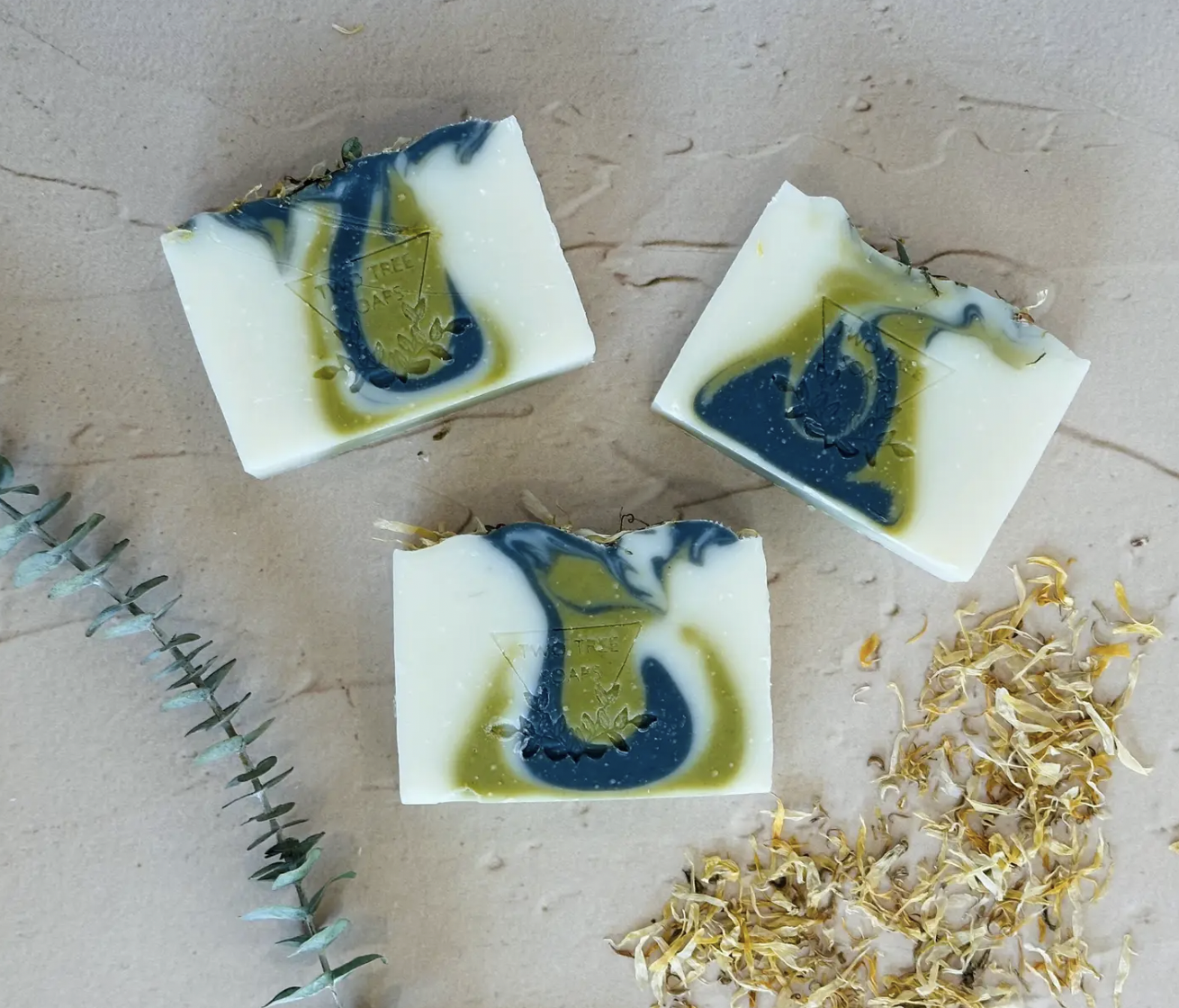 Screenshot 2026-02-26 at 6.00.09 PM.png