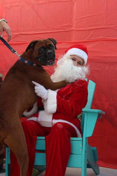 big-dog-santa-hug.JPG