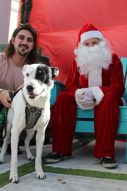 black-white-dog-santa-man.JPG